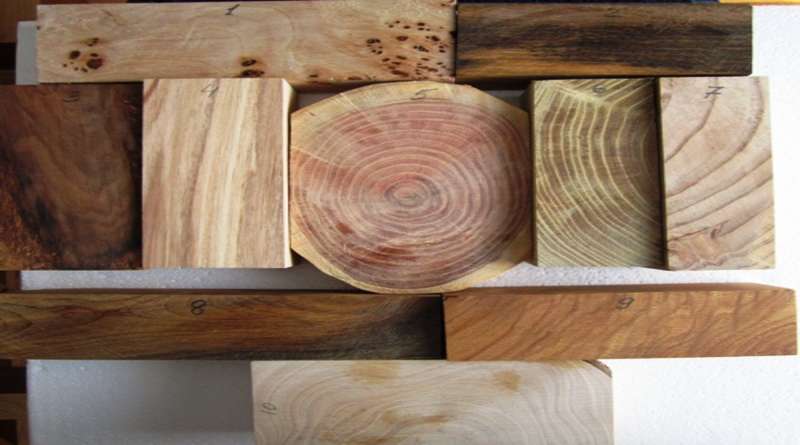Свойства древесины различных пород